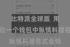 比特派全球版 用户不错在一个钱包中纵情料理各式金钱