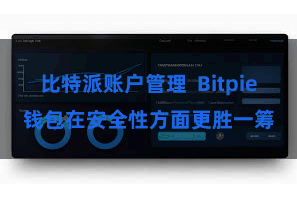 比特派账户管理 Bitpie钱包在安全性方面更胜一筹