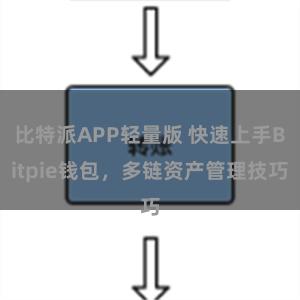 比特派APP轻量版 快速上手Bitpie钱包，多链资产管理技巧