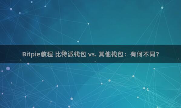 Bitpie教程 比特派钱包 vs. 其他钱包：有何不同？