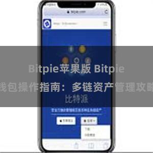 Bitpie苹果版 Bitpie钱包操作指南：多链资产管理攻略