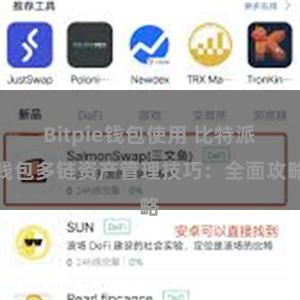 Bitpie钱包使用 比特派钱包多链资产管理技巧：全面攻略