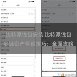 比特派钱包安装 比特派钱包多链资产管理技巧：全面攻略