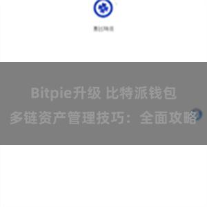 Bitpie升级 比特派钱包多链资产管理技巧：全面攻略