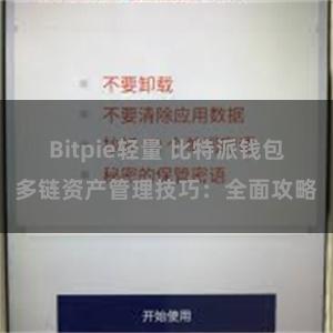 Bitpie轻量 比特派钱包多链资产管理技巧：全面攻略