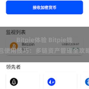 Bitpie体验 Bitpie钱包使用技巧：多链资产管理全攻略