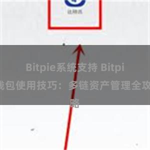 Bitpie系统支持 Bitpie钱包使用技巧：多链资产管理全攻略