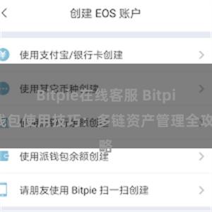 Bitpie在线客服 Bitpie钱包使用技巧：多链资产管理全攻略