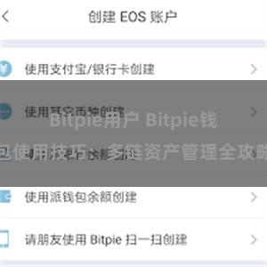 Bitpie用户 Bitpie钱包使用技巧：多链资产管理全攻略