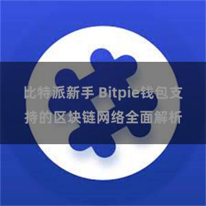 比特派新手 Bitpie钱包支持的区块链网络全面解析