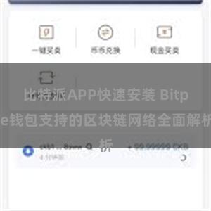 比特派APP快速安装 Bitpie钱包支持的区块链网络全面解析