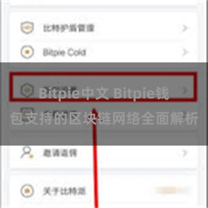 Bitpie中文 Bitpie钱包支持的区块链网络全面解析