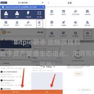 Bitpie新手 比特派钱包：数字资产管理生态进化，无限可能！