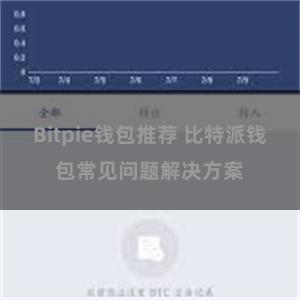 Bitpie钱包推荐 比特派钱包常见问题解决方案