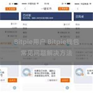 Bitpie用户 Bitpie钱包常见问题解决方法