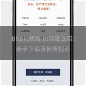 Bitpie隐私 比特派钱包：新手下载及使用指南