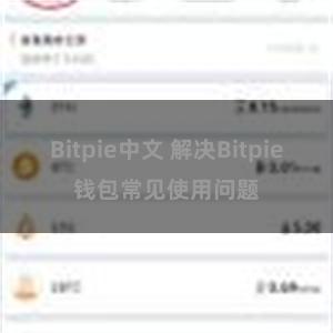 Bitpie中文 解决Bitpie钱包常见使用问题