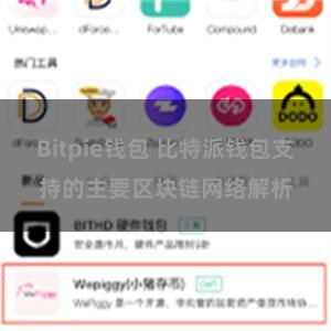 Bitpie钱包 比特派钱包支持的主要区块链网络解析