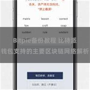 Bitpie备份教程 比特派钱包支持的主要区块链网络解析