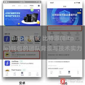 Bitpie系统 比特派(Bitpie)钱包的团队背景与技术实力