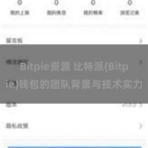 Bitpie资源 比特派(Bitpie)钱包的团队背景与技术实力