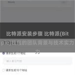 比特派安装步骤 比特派(Bitpie)钱包的团队背景与技术实力