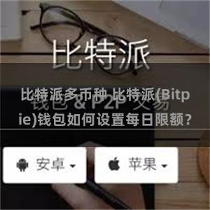 比特派多币种 比特派(Bitpie)钱包如何设置每日限额？