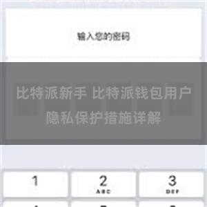 比特派新手 比特派钱包用户隐私保护措施详解