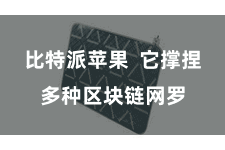 比特派苹果  它撑捏多种区块链网罗